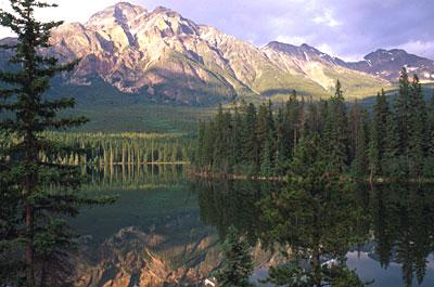 Seldom In Guest House in Jasper