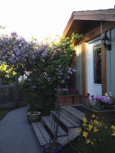 Jasper Mountain Suites in Jasper